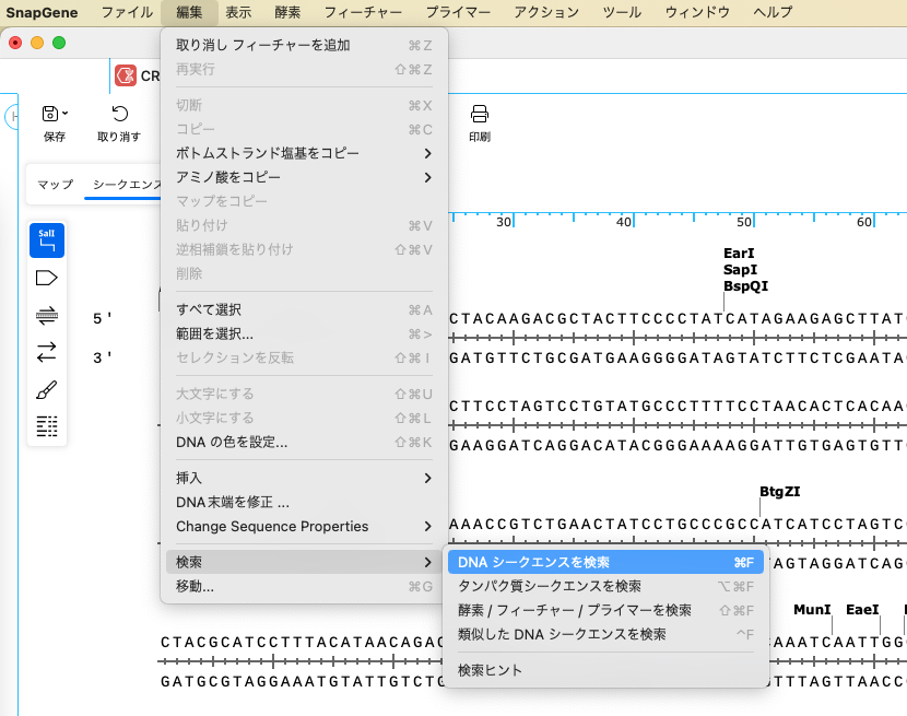 CRISPR:PAMサイトの検索とgRNAの設計